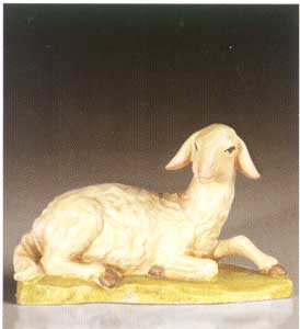 Pecora giacente