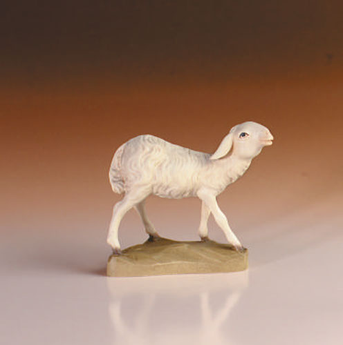 Pecora in piedi