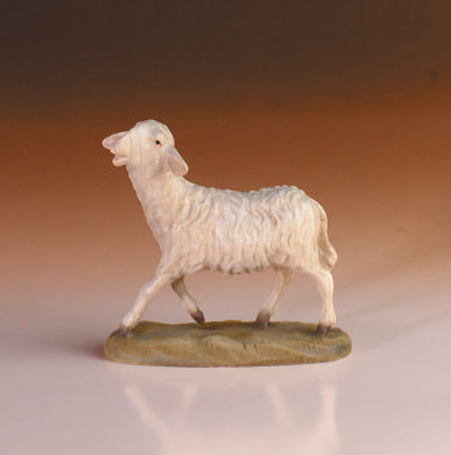 Pecora in piedi