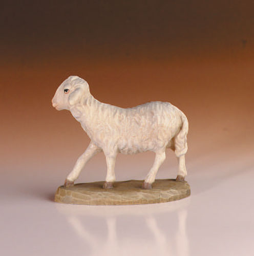 Pecora in piedi