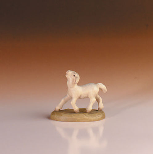 Agnello