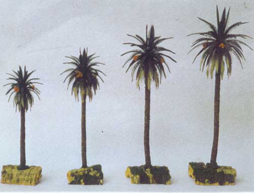 Palma Nr. 1 mm. 170