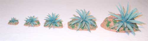 Agave Nr. 2 mm. 35