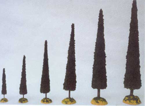 Cipresso Nr. 4 mm. 240