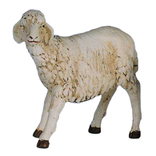 Pecora bianca in piedi