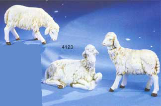 3 Pecore bianche 17x11