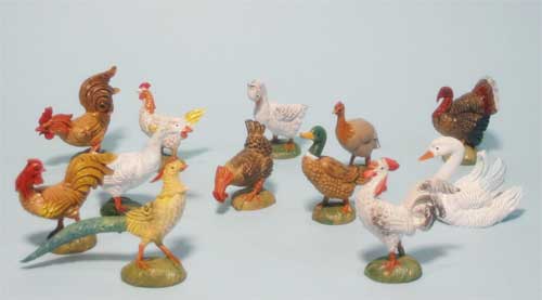 Gallinacei