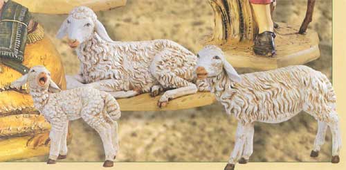 Agnello