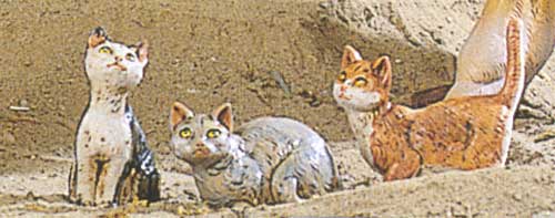 Gatti (3 soggetti)