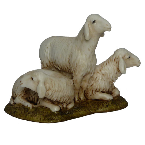 Gruppo 3 pecore