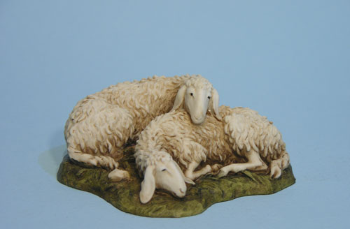 Pecore sdraiate