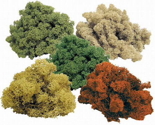 Lichene bianco in busta gr. 30