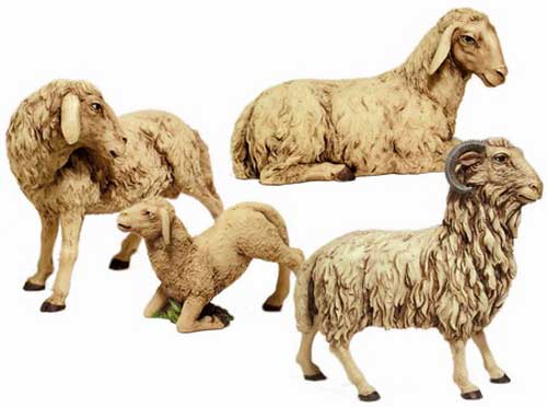 Gruppo 2 pecore 1 agnellino e montone bianche cm. 30