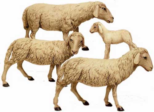 Gruppo 3 pecore 1 agnellino bianche cm. 30