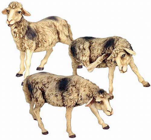Gruppo 3 pecore pezzate cm. 30
