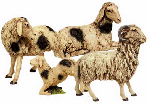 Gruppo 2 pecore 1 agnellino e montone pezzati cm. 30