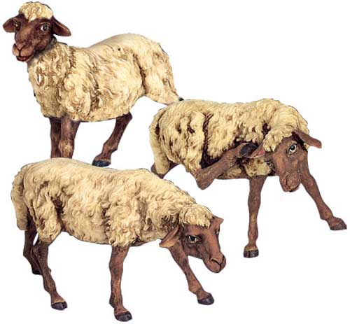 Gruppo 3 pecore scure cm. 30