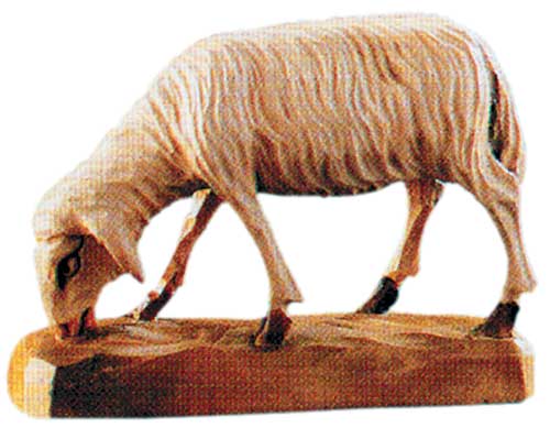 Pecora mangiante