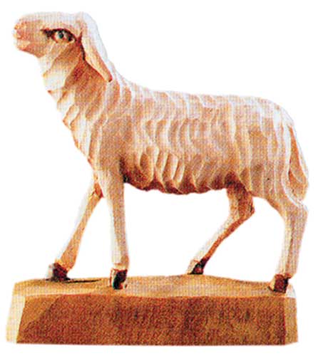Pecora in Piedi
