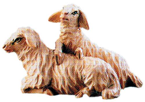 Gruppo due pecore