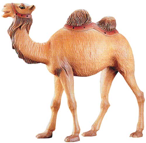 Cammello